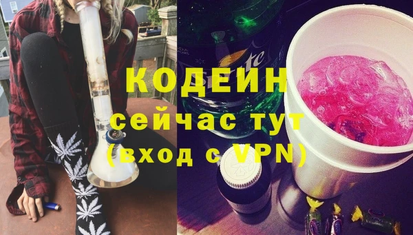 прущие грибы Арсеньев