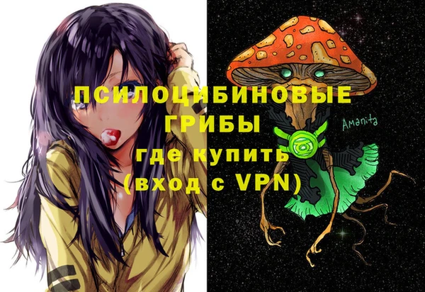 прущие грибы Арсеньев