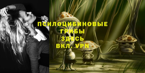 прущие грибы Арсеньев