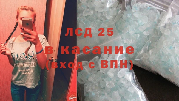 прущие грибы Арсеньев