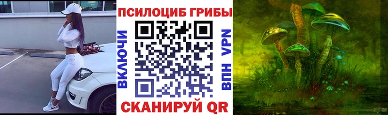 Псилоцибиновые грибы прущие грибы  купить наркотик  Шахунья 